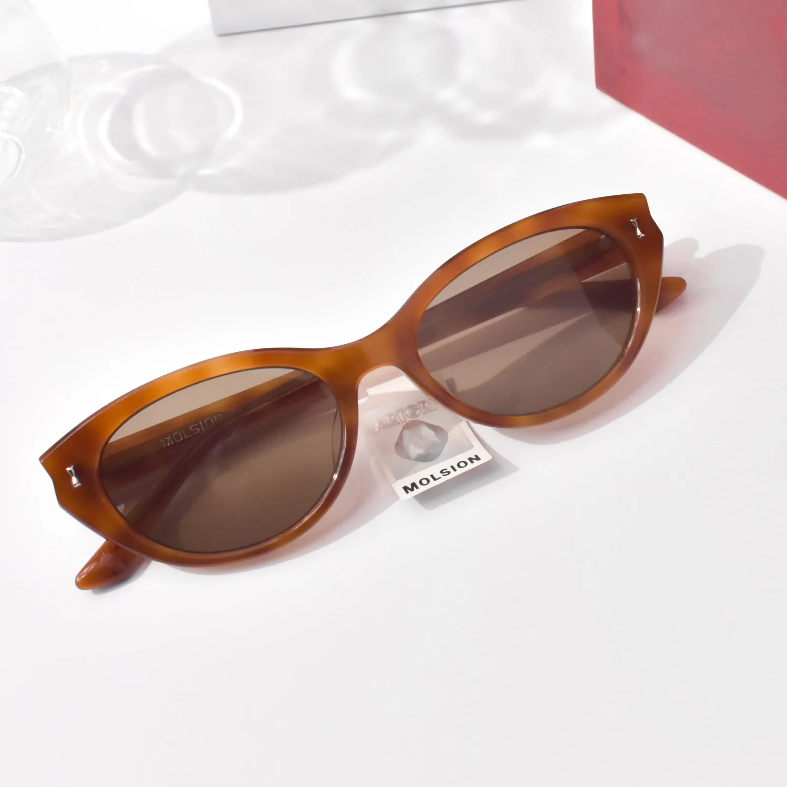 แว่นกันแดด MOLSION MM3006 สี Tortoiseshell (A22)