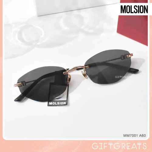 แว่นกันแดด MOLSION MM7001 สี Gold/Grey (A60)
