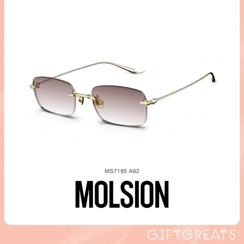 แว่นกันแดด MOLSION MS7185 สี Light Gold/Light Brown Gradient (A62)