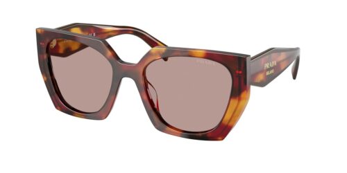 กรอบแว่นสายตา PRADA PR 15WSF สีลายเต่า (22A20I) ที่ร้านแว่น GIFTGREATS