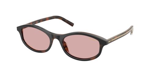 กรอบแว่นสายตา PRADA PR D17SF สีลายเต่า (20P9G1) ที่ร้านแว่น GIFTGREATS