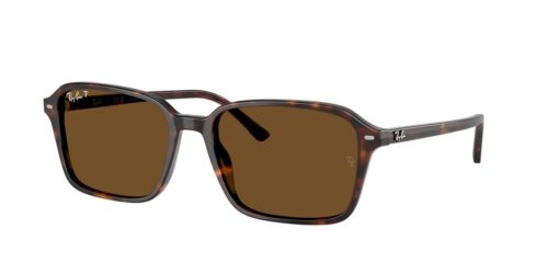 กรอบแว่นสายตา RAY-BAN RB2231F สีลายเต่า (902/57) ที่ร้านแว่น GIFTGREATS
