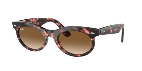 กรอบแว่นสายตา RAY-BAN RB2242F สีลายเต่า (133451) ที่ร้านแว่น GIFTGREATS