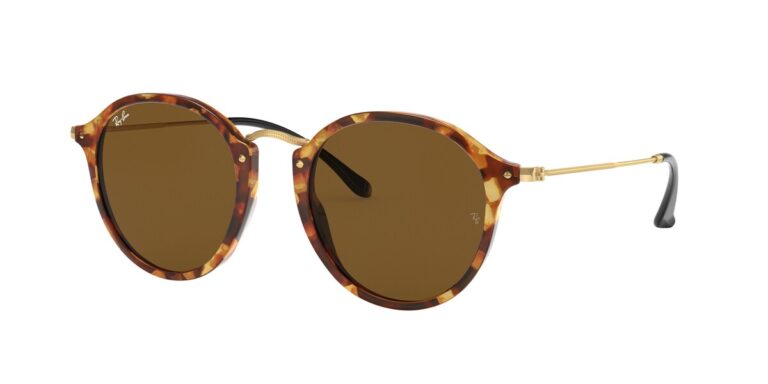 แว่นกันแดด RAYBAN RB2447