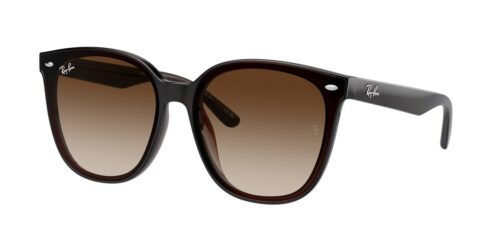 กรอบแว่นสายตา RAY-BAN RB4423D สีน้ำตาล (714/13) ที่ร้านแว่น GIFTGREATS