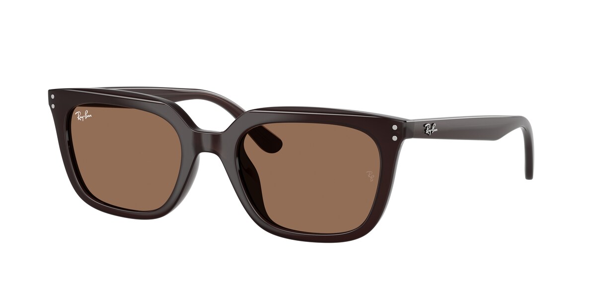 กรอบแว่นสายตา RAY-BAN RB4439D สีน้ำตาล (623173) ที่ร้านแว่น GIFTGREATS