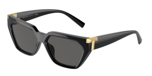 แว่นกันแดด TIFFANY & CO. TF4205U สีดำ (8001S4) ที่ร้านแว่น GIFTGREATS