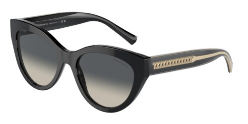 แว่นกันแดด TIFFANY & CO. TF4220F สีดำ (800171) ที่ร้านแว่น GIFTGREATS