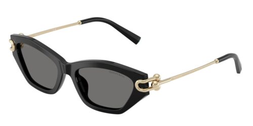 แว่นกันแดด TIFFANY & CO. TF4231U สีดำ (800181) ที่ร้านแว่น GIFTGREATS