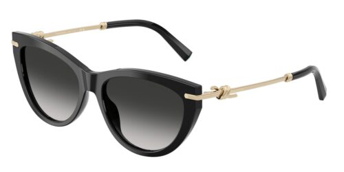 แว่นกันแดด TIFFANY & CO. TF4253F สีดำ (80013C) ที่ร้านแว่น GIFTGREATS