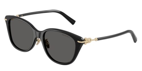 แว่นกันแดด TIFFANY & CO. TF4267F สีดำ (8001S4) ที่ร้านแว่น GIFTGREATS