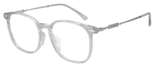 JILL STUART JL66054X สี Gray Pattern / Shiny Silver (C02)